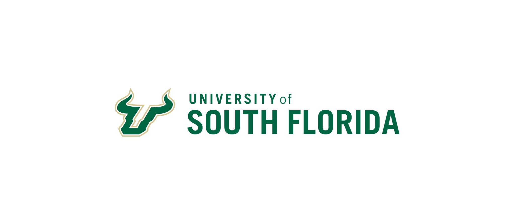 USF South Florida Bulls